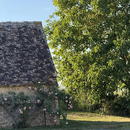 Les Grands Ormeaux - Elegance & Piscine Chauffee Joue-en-Charnie