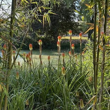 Casa de Férias Les Grands Ormeaux - Elegance & Piscine Chauffee - L'instant Clef *