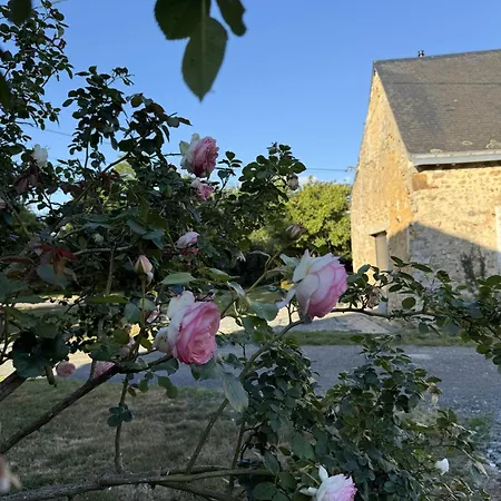 Les Grands Ormeaux - Elegance & Piscine Chauffee *
