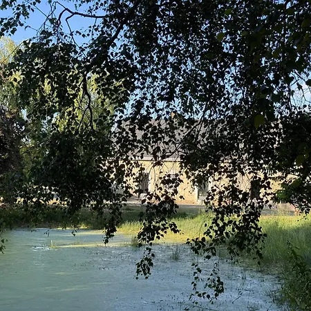 Les Grands Ormeaux - Elegance & Piscine Chauffee Joue-en-Charnie