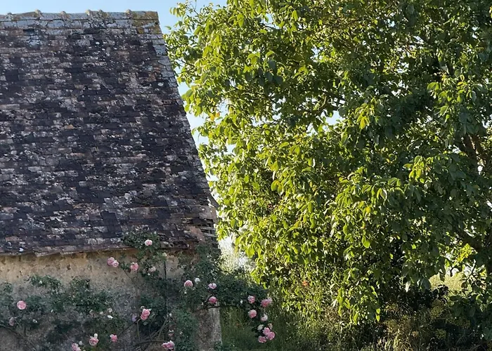 Les Grands Ormeaux - Elégance&piscine Chauffée - L'instant Clef Joue-en-Charnie