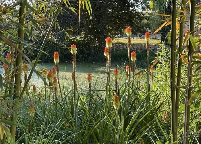 Сasa de vacaciones Les Grands Ormeaux - Elégance&piscine Chauffée - L'instant Clef *
