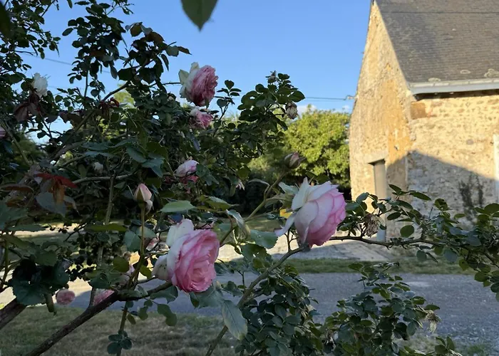 Les Grands Ormeaux - Elégance&piscine Chauffée - L'instant Clef *