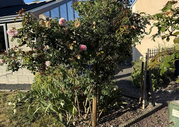 Les Grands Ormeaux - Elégance&piscine Chauffée - L'instant Clef Сasa de vacaciones Joue-en-Charnie
