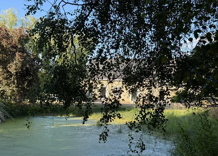Les Grands Ormeaux - Elégance&piscine Chauffée - L'instant Clef Joue-en-Charnie