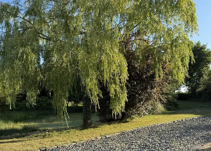 펜션 Les Grands Ormeaux - Elegance & Piscine Chauffee *